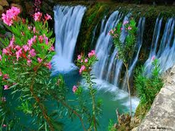 Algar Falls Benidorm with In The Sun Holidays