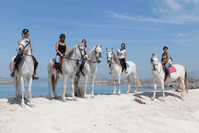Akilar 1578332977JCAXUS ref 1753 mobile 20 Horse Back Riding nearby Villamartin